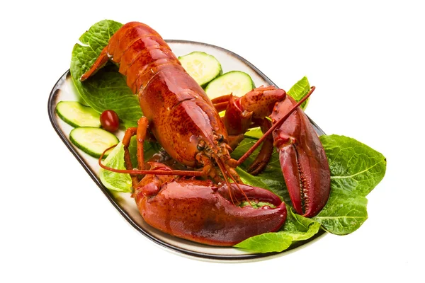 Large Lobster — Stock Photo, Image