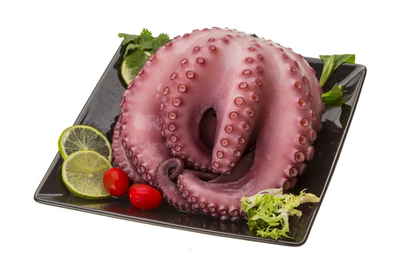 Grande pieuvre bouillie — Photo