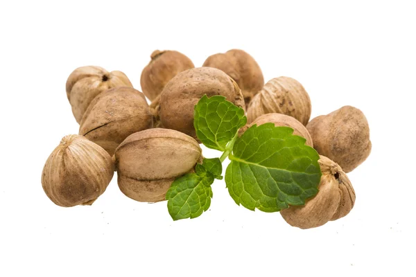 Cardamón — Foto de Stock