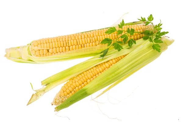 Corn — Stock Photo, Image