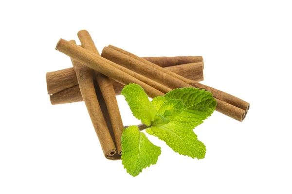 Cinnamon and fresh mint leaves — Stock Photo, Image