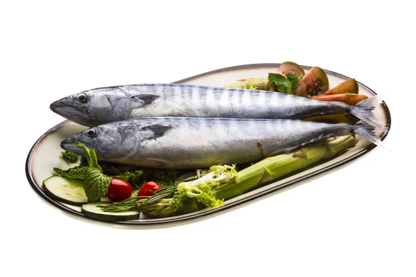 Verse atlanticmackerel — Stockfoto