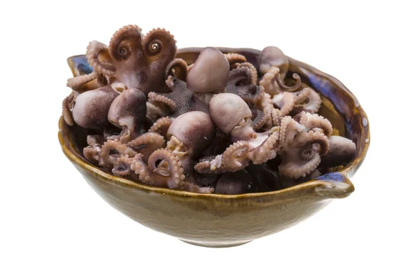 Gekookte octopus — Stockfoto