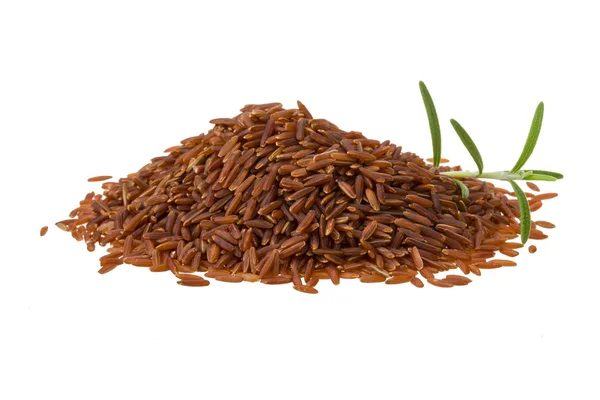 Hnědá rýže — Stock fotografie