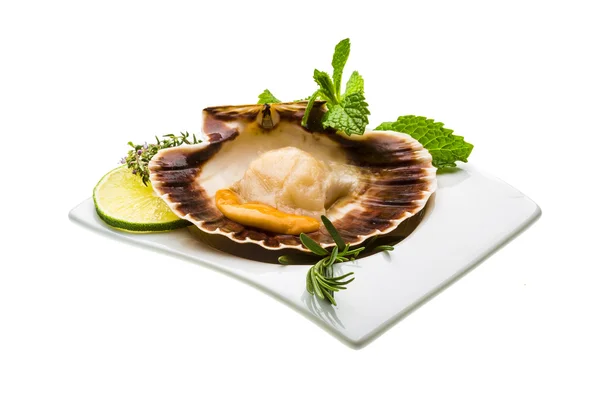 Scallop with asparagus — Stock Photo, Image