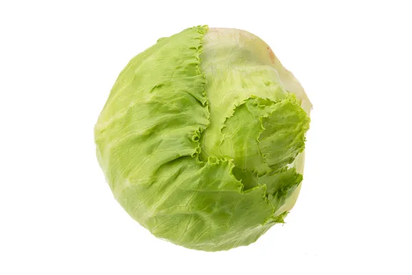 Iceberg d'insalata — Foto Stock