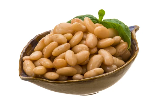 Tinned bean — Stock Photo, Image