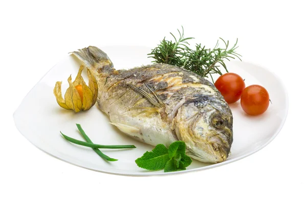 Dorado grilled — Stock Photo, Image