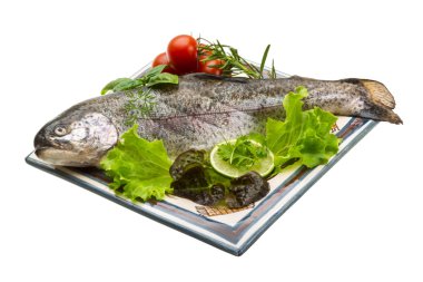 taze çiğ Gökkuşağı alabalığı