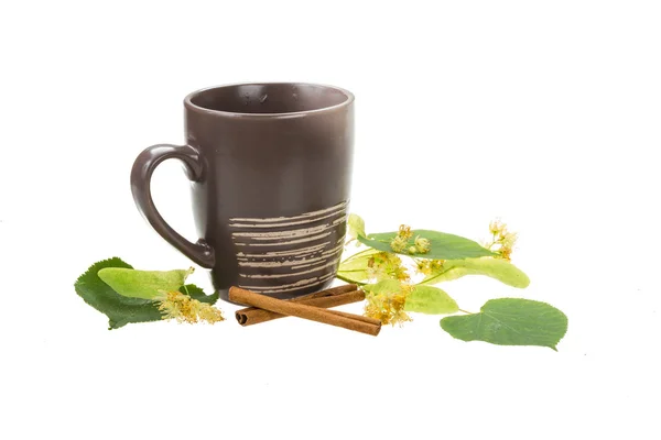 Липовый чай — стоковое фото