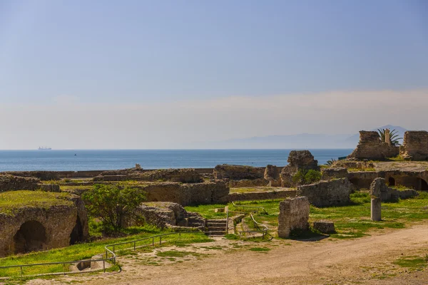 Παλιά ερείπια Καρχηδόνα — Φωτογραφία Αρχείου