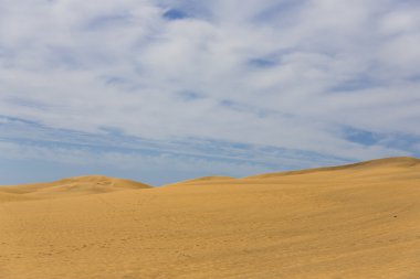 Maspalomas Duna - Kanarya adası Büyük Kanarya Çölü