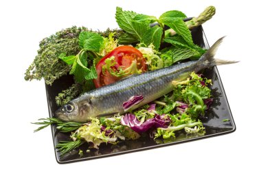 taze ringa balığı