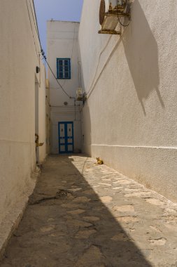 Tunus mimarisi