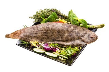 dil balığı balık