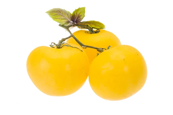 Желтый спелый помидор — стоковое фото