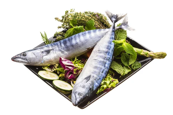 Fresh Atlantic mackerel — Stock Photo, Image