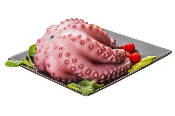 Large boiled octopus — Stock Photo, Image