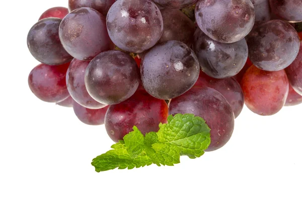 Ripe grape — Stock Photo, Image