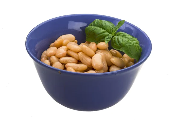 Fagioli in scatola — Foto Stock