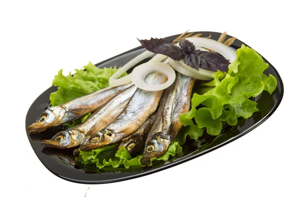 Capelin essiccato — Foto Stock