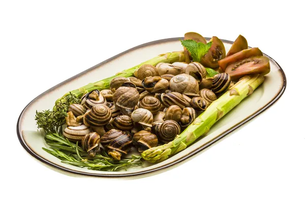 Escargot with asparagus, rosemary, thyme and tomato — Stock Photo, Image