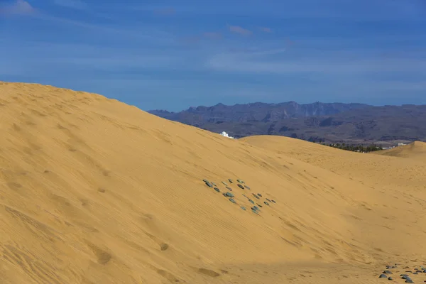 Maspalomas Duna - Woestijn op Canarische Eilanden Gran Canaria — Stockfoto