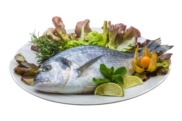 Fresh raw dorada — Stock Photo, Image