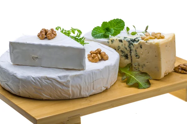Variedade variedade de queijos — Fotografia de Stock