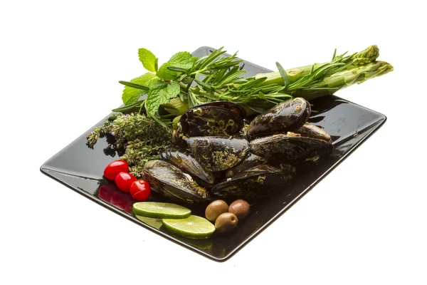 Cozze selvatiche — Foto Stock