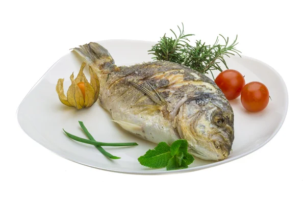 Dorado grilled — Stock Photo, Image