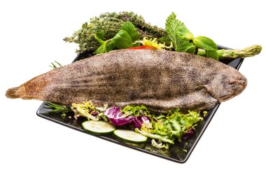 dil balığı balık