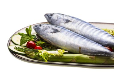taze atlanticmackerel