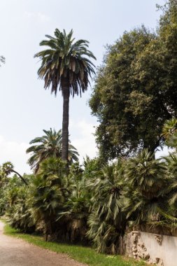 büyük kilise Merkezi Roma, İtalya.
