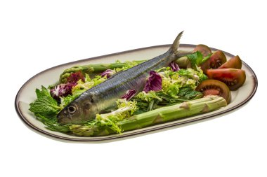 taze ringa balığı