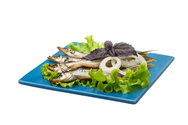 Capelin essiccato — Foto Stock