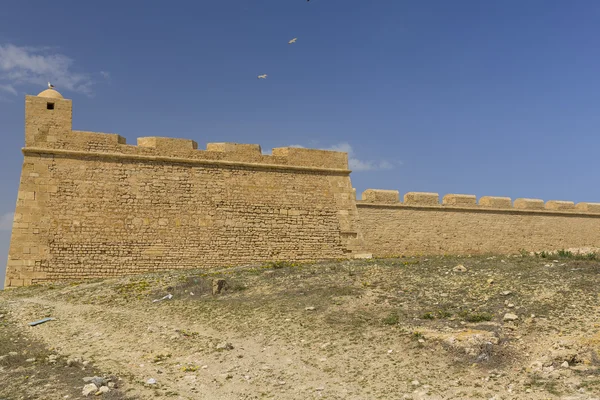 Zřícenina fortess v mahdia tunis — Stock fotografie