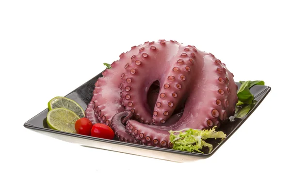 Grote gekookte octopus — Stockfoto