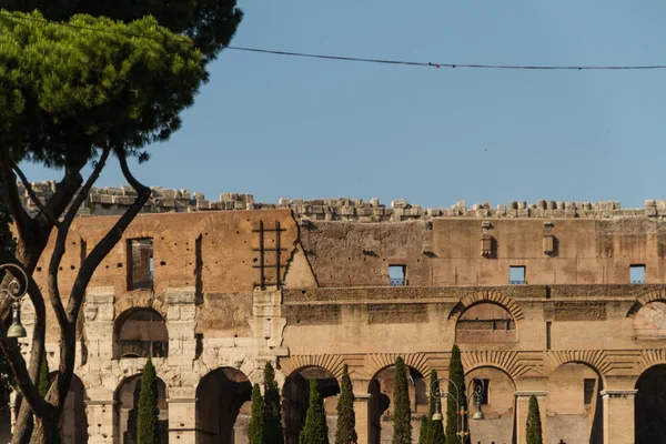 Kolezyum, Roma, İtalya — Stok fotoğraf