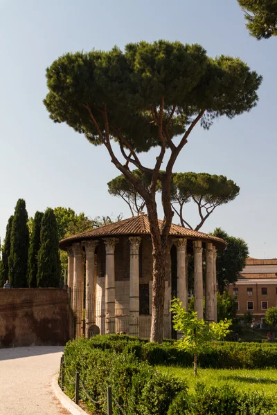 Rome - Vesta temple — Stock Photo, Image