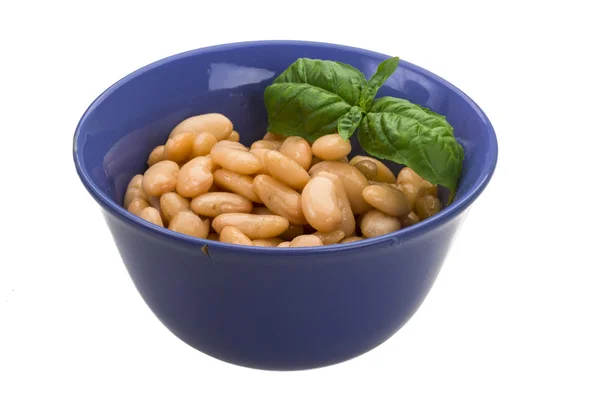 Tinned bean — Stock Photo, Image