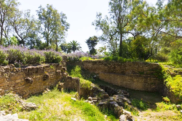 Old Carthage ruins — Stock Photo, Image