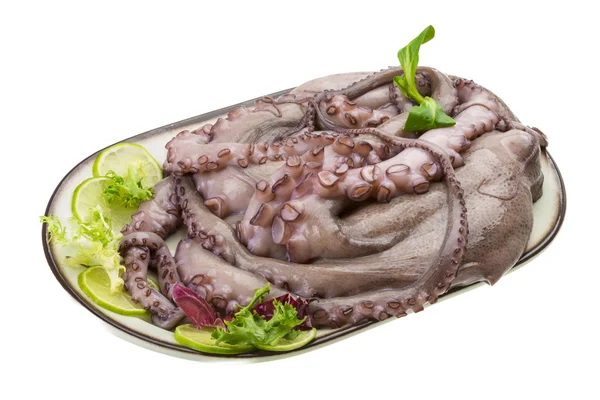 Raw large octopus — Stock Photo, Image