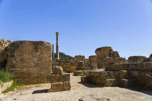 Antiguas ruinas de Cartago — Foto de Stock