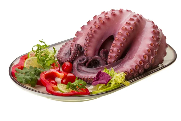 Large boiled octopus — Stock Photo, Image