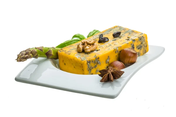 Gold cheese with mould — Stock Photo, Image