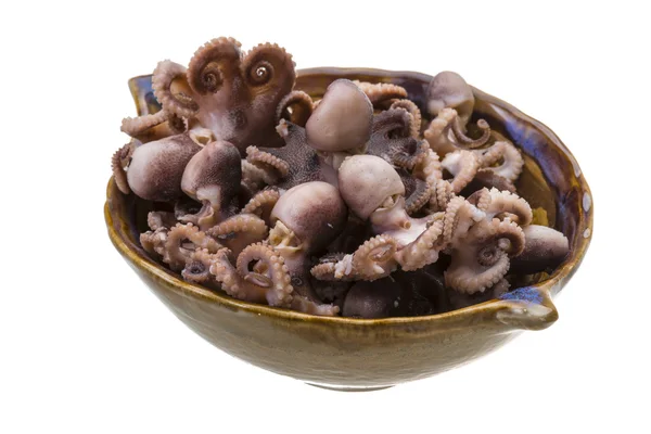 Gekookte octopus — Stockfoto