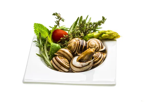 Escargot com espargos, alecrim, timo e tomate — Fotografia de Stock