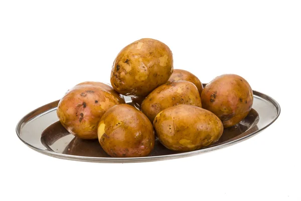 Young raw potato — Stock Photo, Image
