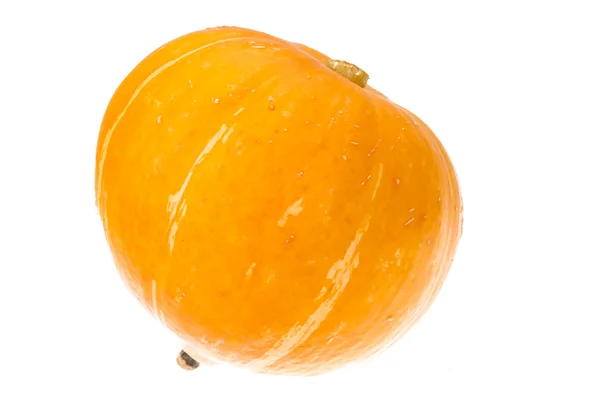 Ripe pumpkin — Stock Photo, Image